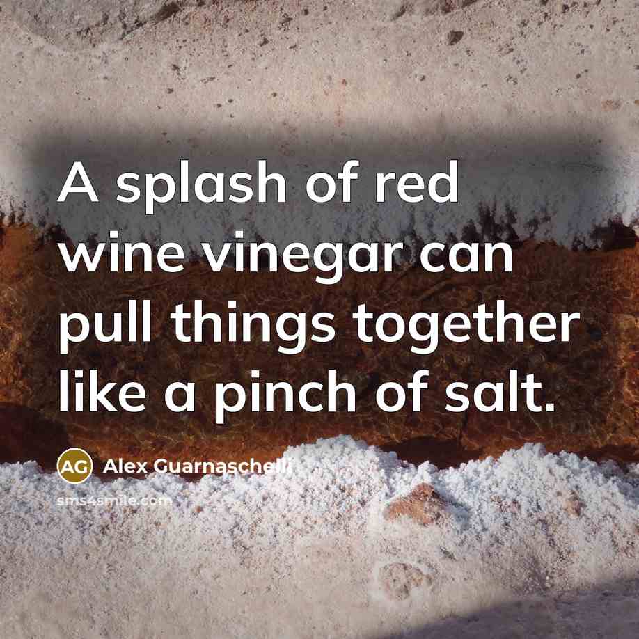 “A splash of red wine vinegar can pull things together like a pinch of salt.” quote by Alex Guarnaschelli