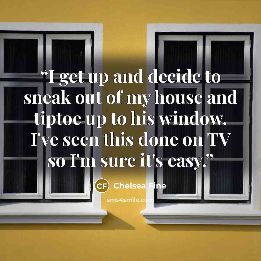 “I get up and decide to sneak out of my house and tiptoe up to his window. I've seen this done on TV so I'm sure it's easy.” quote by Chelsea Fine
