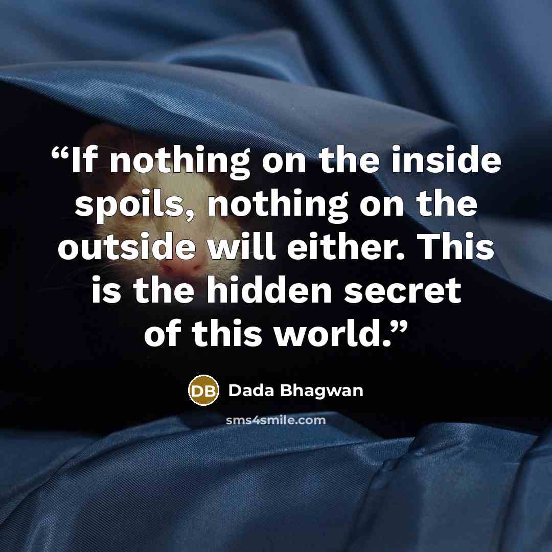 “If nothing on the inside spoils, nothing on the outside will either. This is the hidden secret of this world.” quote by Dada Bhagwan