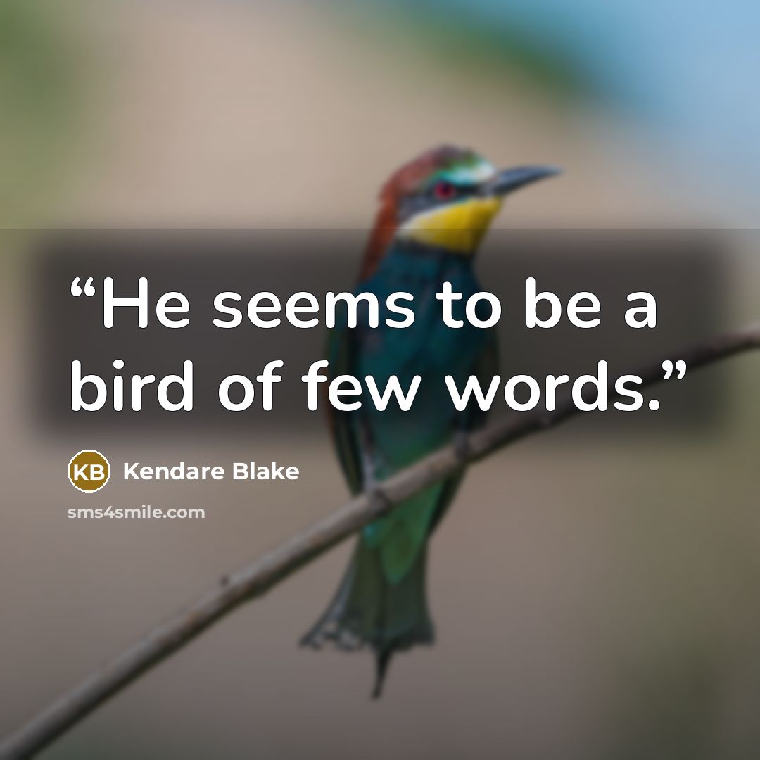 “He seems to be a bird of few words.” quote by Kendare Blake