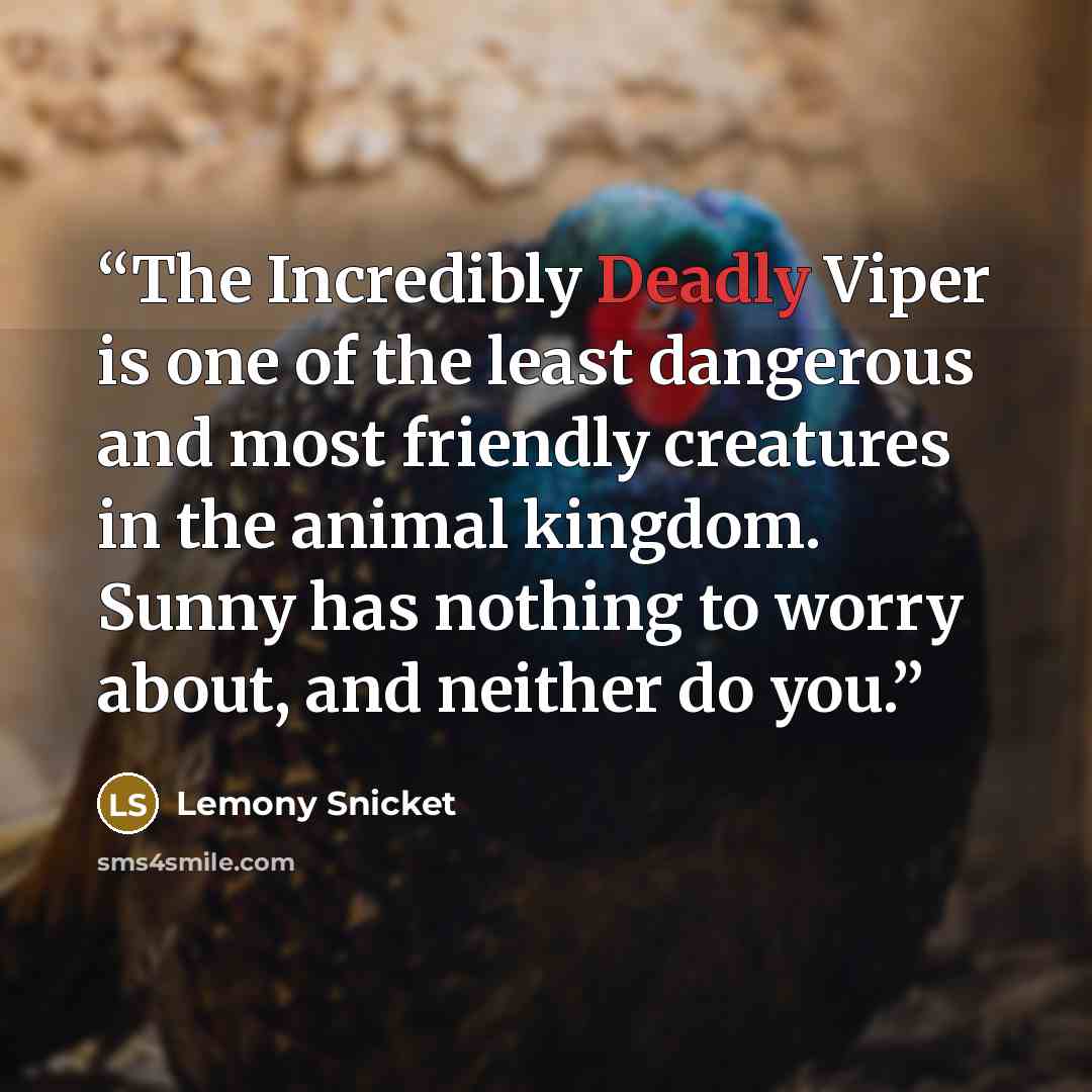 “The Incredibly Deadly Viper is one of the least dangerous and most friendly creatures in the animal kingdom. Sunny has nothing to worry about, and neither do you.” quote by Lemony Snicket