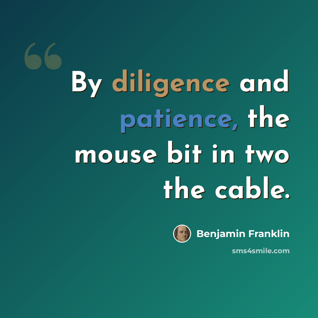“By diligence and patience, the mouse bit in two the cable.” quote by Benjamin Franklin