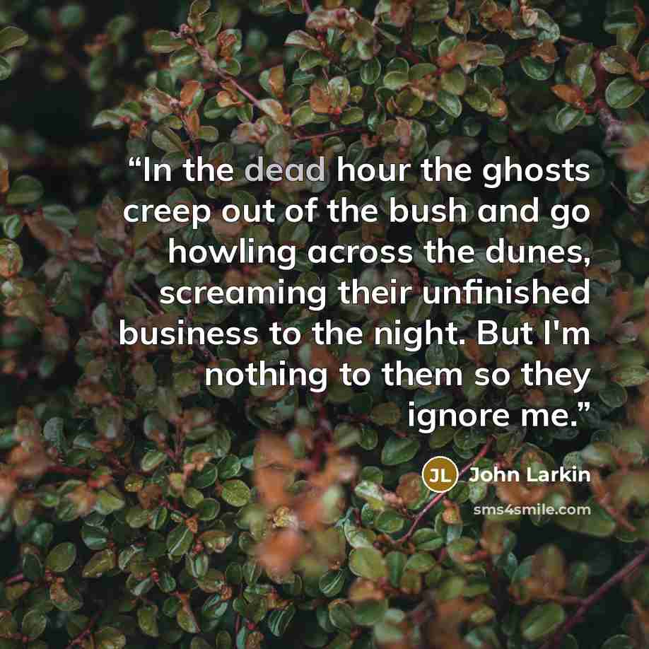 “In the dead hour the ghosts creep out of the bush and go howling across the dunes, screaming their unfinished business to the night. But I'm nothing to them so they ignore me.” quote by John Larkin