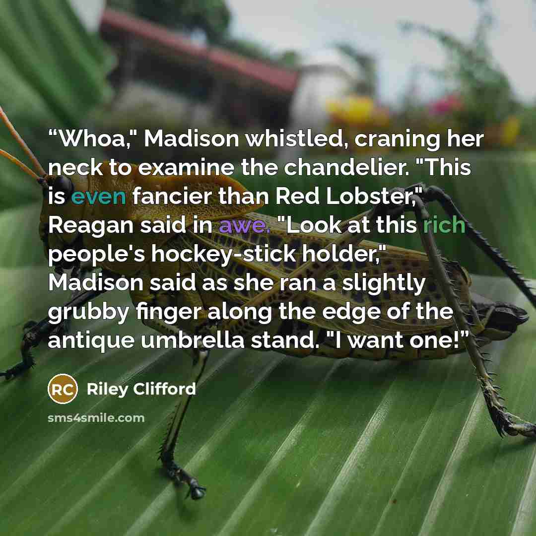 “Whoa," Madison whistled, craning her neck to examine the chandelier. "This is even fancier than Red Lobster," Reagan said in awe. "Look at this rich people's hockey-stick holder," Madison said as she ran a slightly grubby finger along the edge of the antique umbrella stand. "I want one!” quote by Riley Clifford