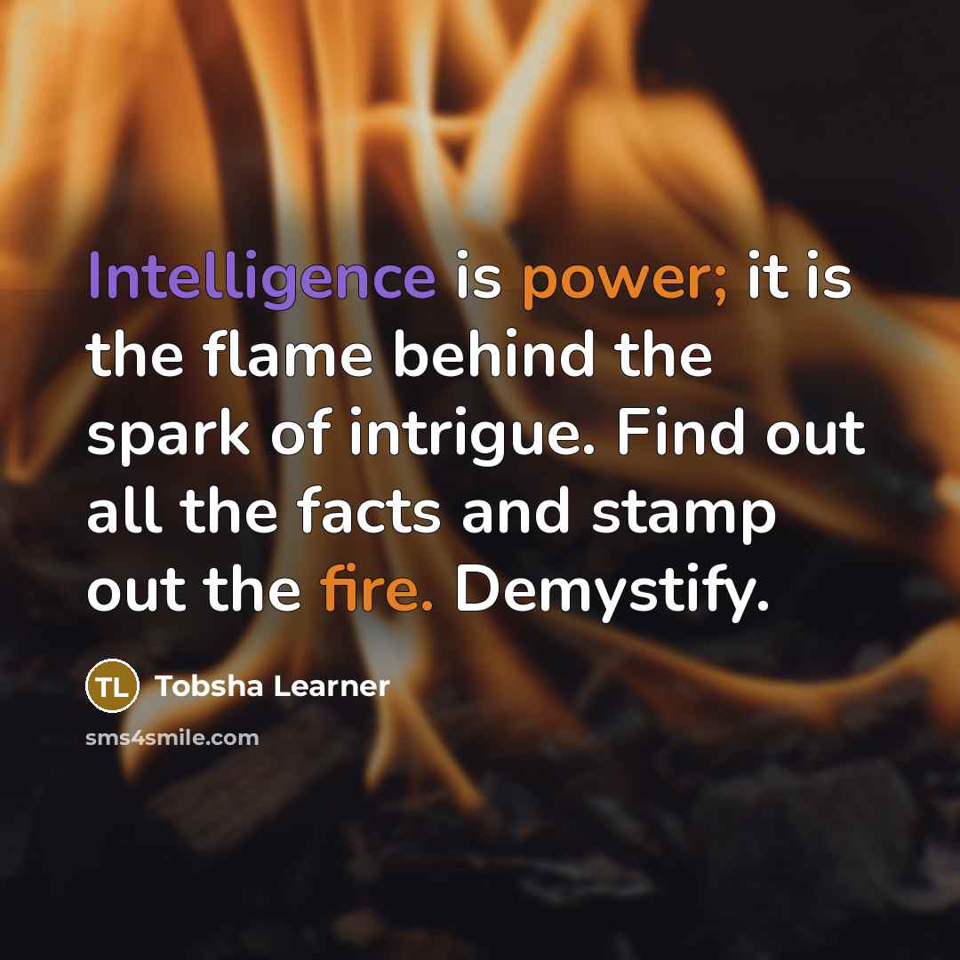 “Intelligence is power; it is the flame behind the spark of intrigue. Find out all the facts and stamp out the fire. Demystify.” quote by Tobsha Learner