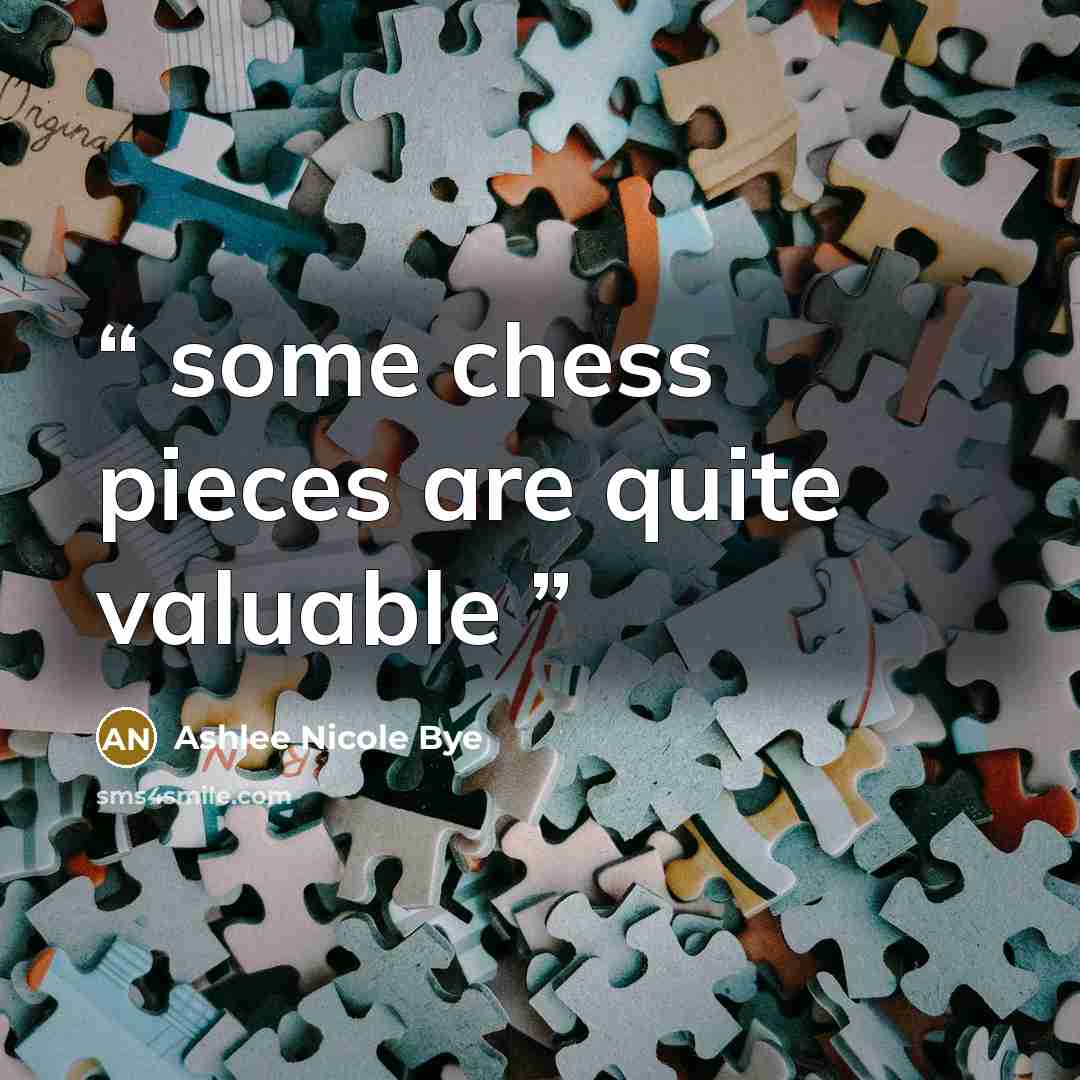 “some chess pieces are quite valuable” quote by Ashlee Nicole Bye