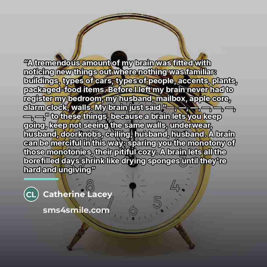 “A tremendous amount of my brain was fitted with noticing new things out where nothing was familiar: buildings, types of cars, types of people, accents, plants, packaged-food items. Before I left my brain never had to register my bedroom, my husband, mailbox, apple core, alarm clock, walls. My…” quote by Catherine Lacey
