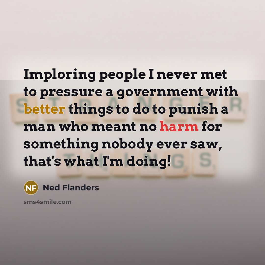 “Imploring people I never met to pressure a government with better things to do to punish a man who meant no harm for something nobody ever saw, that's what I'm doing!” quote by Ned Flanders