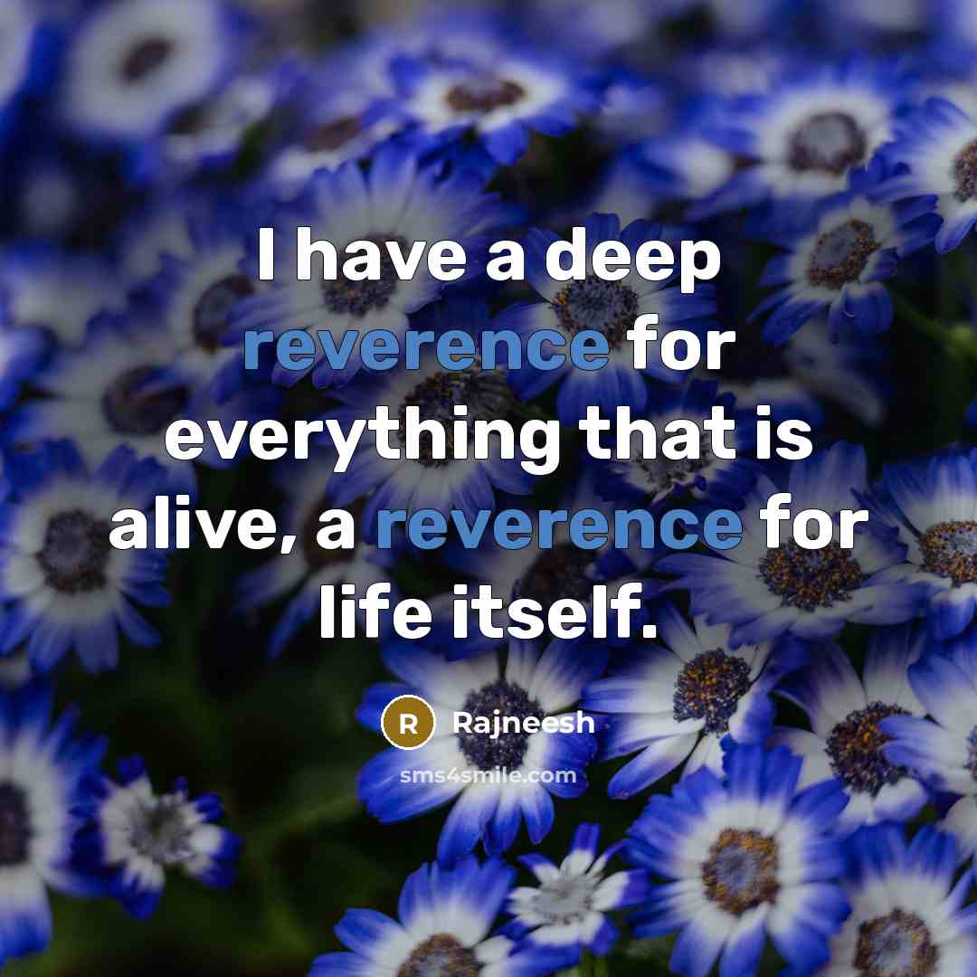 “I have a deep reverence for everything that is alive, a reverence for life itself.” quote by Rajneesh