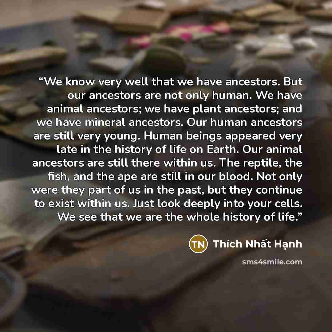 “We know very well that we have ancestors. But our ancestors are not only human. We have animal ancestors; we have plant ancestors; and we have mineral ancestors. Our human ancestors are still very young. Human beings appeared very late in the history of life on Earth. Our animal ancestors are…” quote by Thích Nhất Hạnh