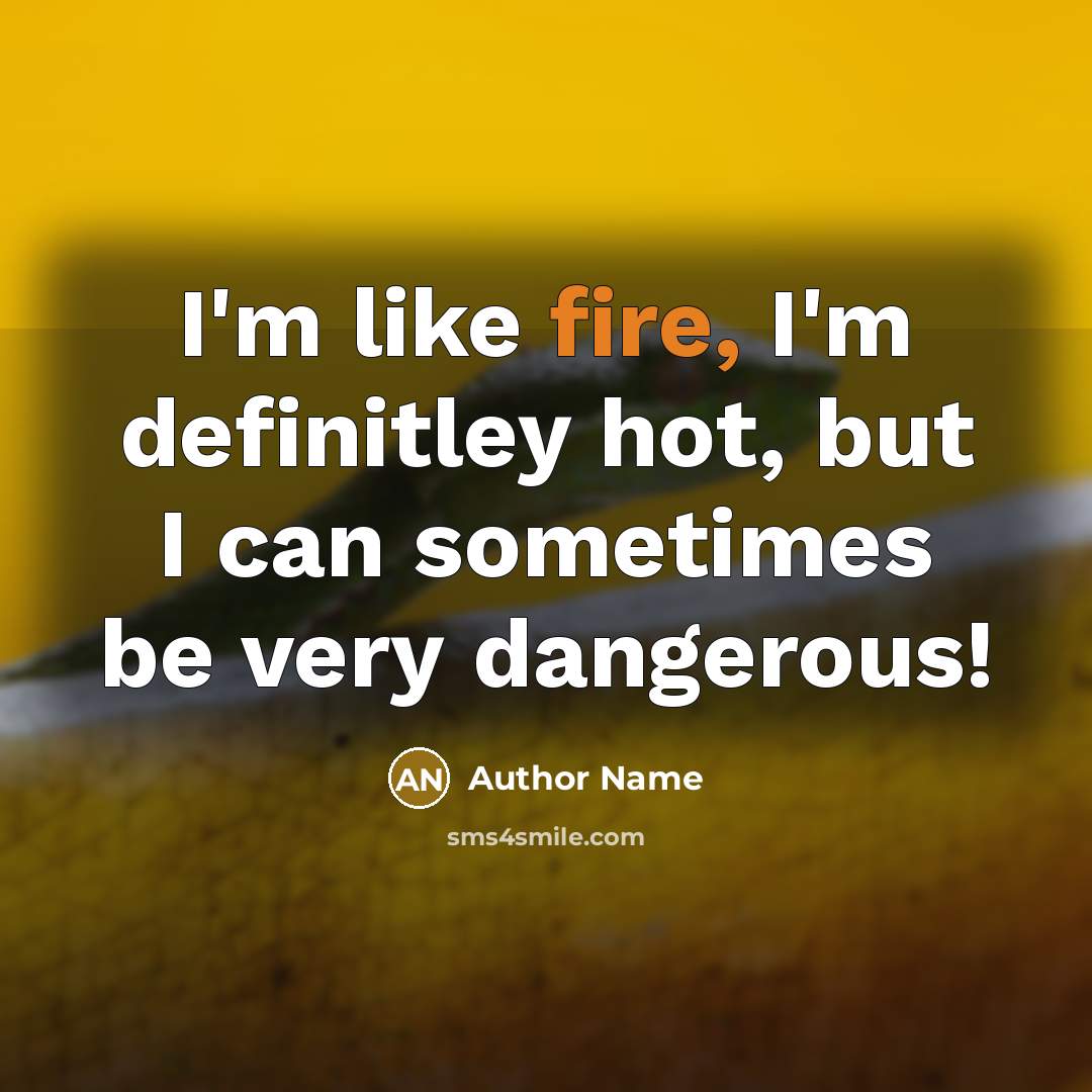 “I'm like fire, I'm definitley hot, but I can sometimes be very dangerous!” quote by Author Name