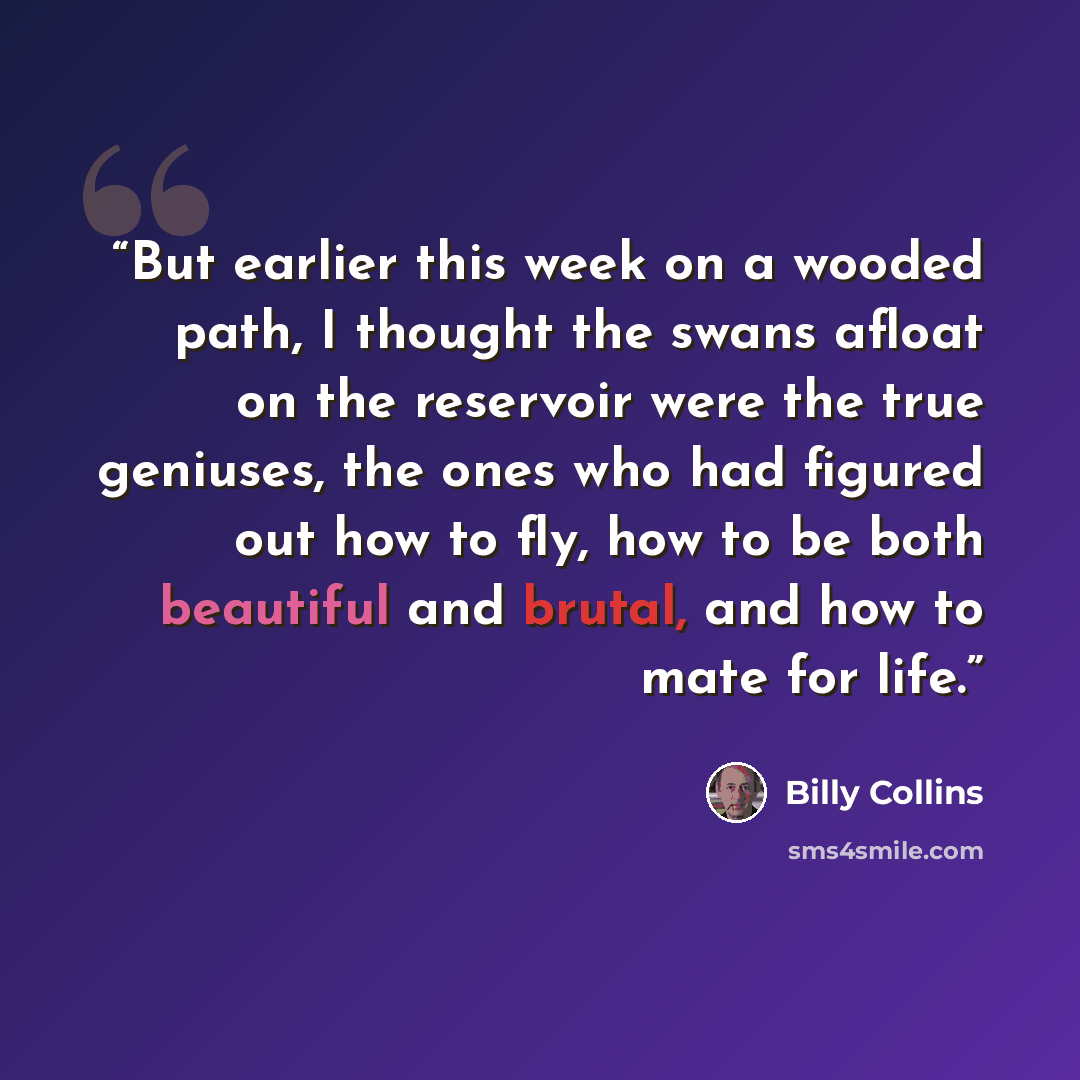 “But earlier this week on a wooded path, I thought the swans afloat on the reservoir were the true geniuses, the ones who had figured out how to fly, how to be both beautiful and brutal, and how to mate for life.” quote by Billy Collins