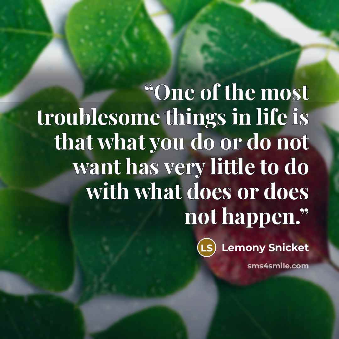 “One of the most troublesome things in life is that what you do or do not want has very little to do with what does or does not happen.” quote by Lemony Snicket