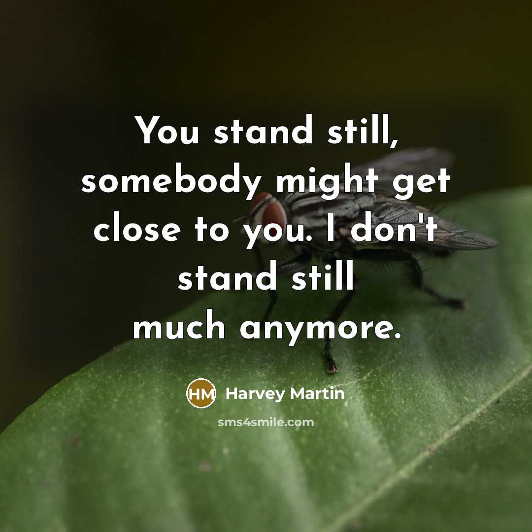 “You stand still, somebody might get close to you. I don't stand still much anymore.” quote by Harvey Martin