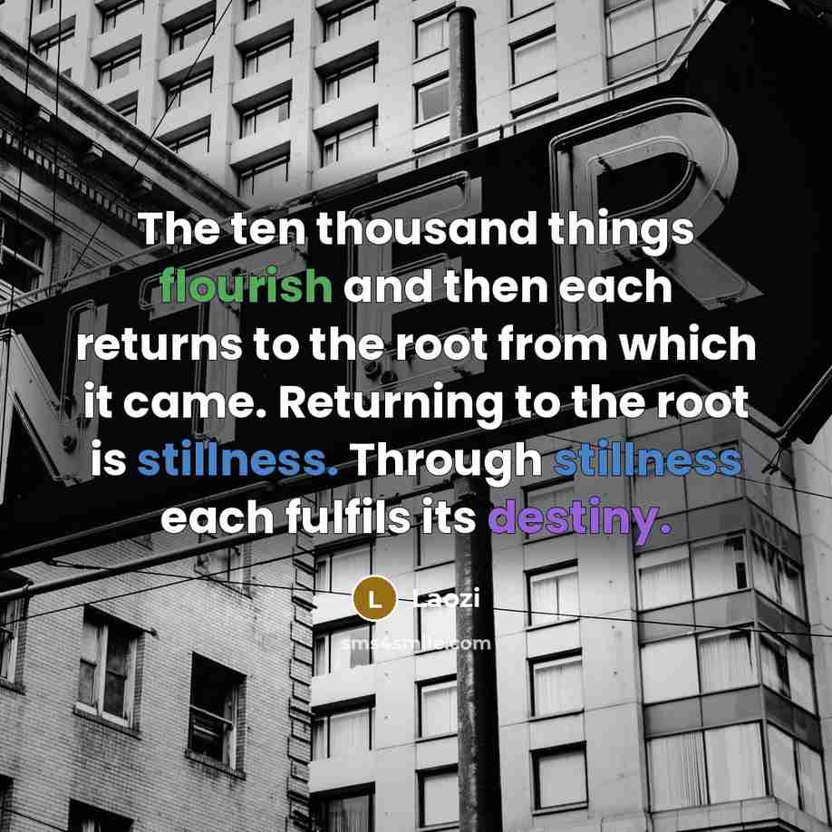 “The ten thousand things flourish and then each returns to the root from which it came. Returning to the root is stillness. Through stillness each fulfils its destiny.” quote by Laozi