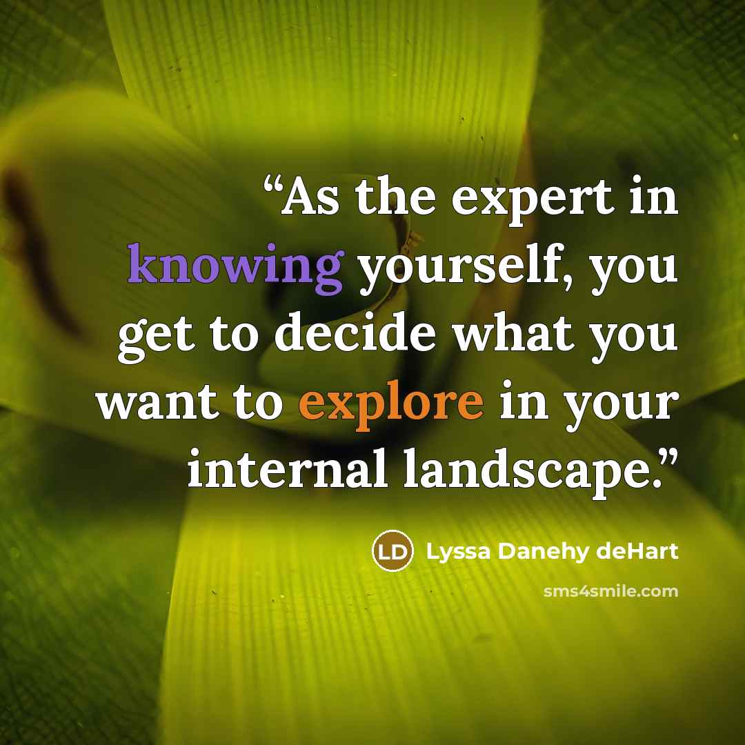 “As the expert in knowing yourself, you get to decide what you want to explore in your internal landscape.” quote by Lyssa Danehy deHart