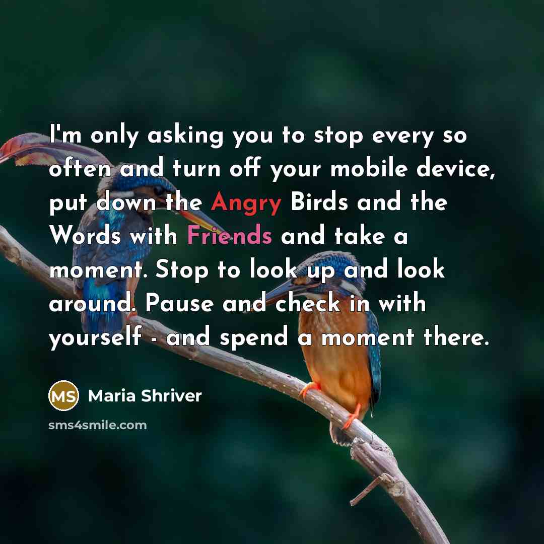 “I'm only asking you to stop every so often and turn off your mobile device, put down the Angry Birds and the Words with Friends and take a moment. Stop to look up and look around. Pause and check in with yourself - and spend a moment there.” quote by Maria Shriver