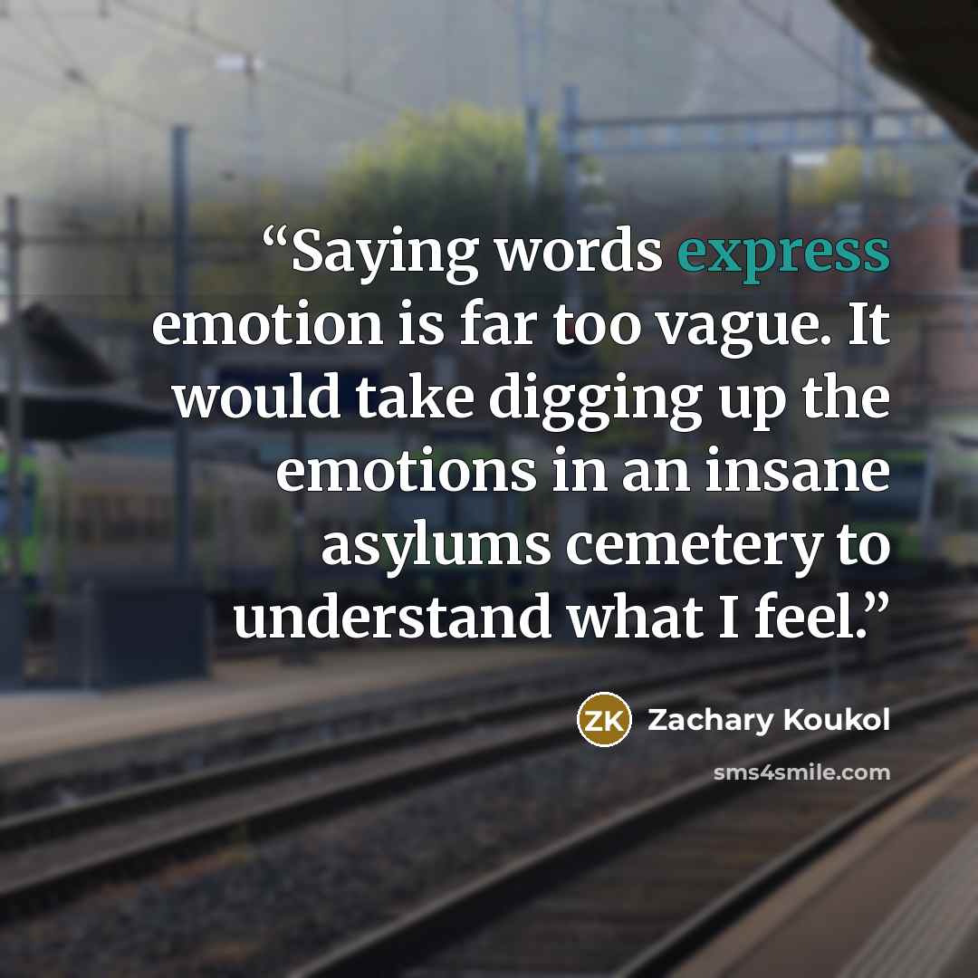 “Saying words express emotion is far too vague. It would take digging up the emotions in an insane asylums cemetery to understand what I feel.” quote by Zachary Koukol