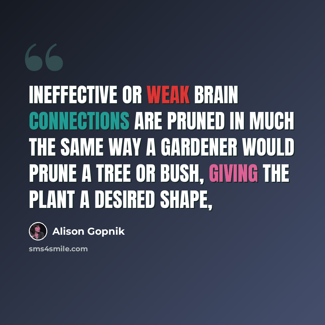 “Ineffective or weak brain connections are pruned in much the same way a gardener would prune a tree or bush, giving the plant a desired shape,” quote by Alison Gopnik
