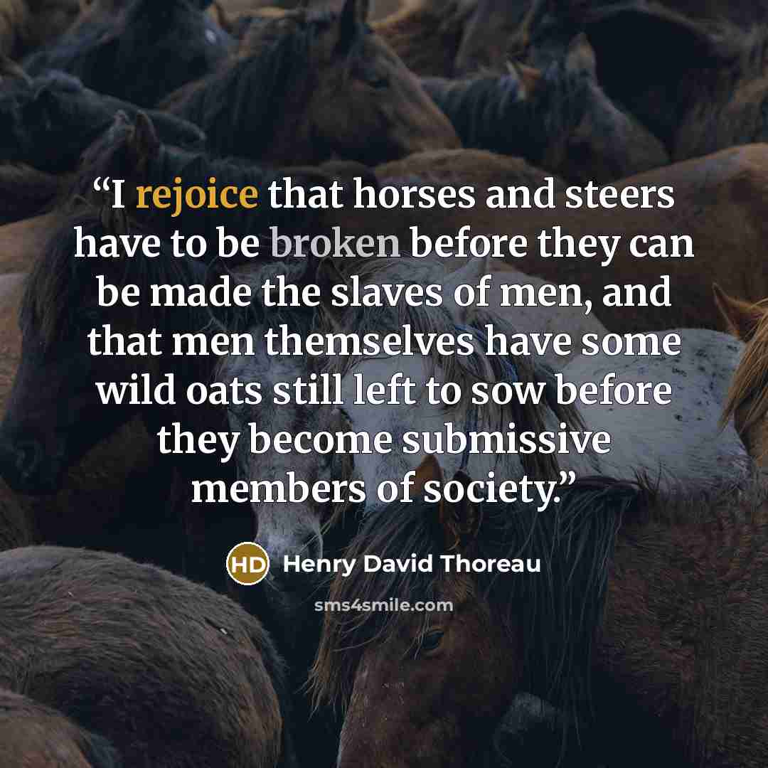 “I rejoice that horses and steers have to be broken before they can be made the slaves of men, and that men themselves have some wild oats still left to sow before they become submissive members of society.” quote by Henry David Thoreau