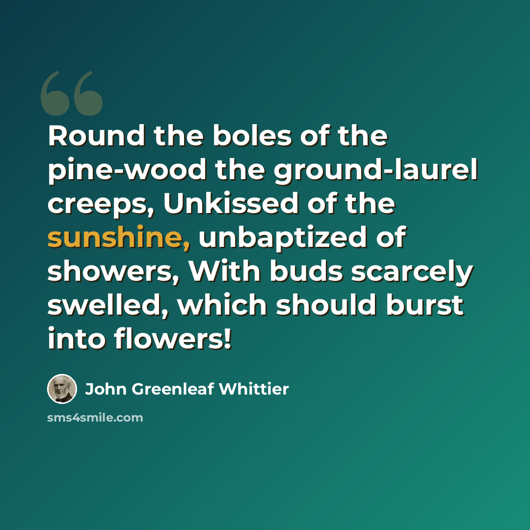 “Round the boles of the pine-wood the ground-laurel creeps, Unkissed of the sunshine, unbaptized of showers, With buds scarcely swelled, which should burst into flowers!” quote by John Greenleaf Whittier