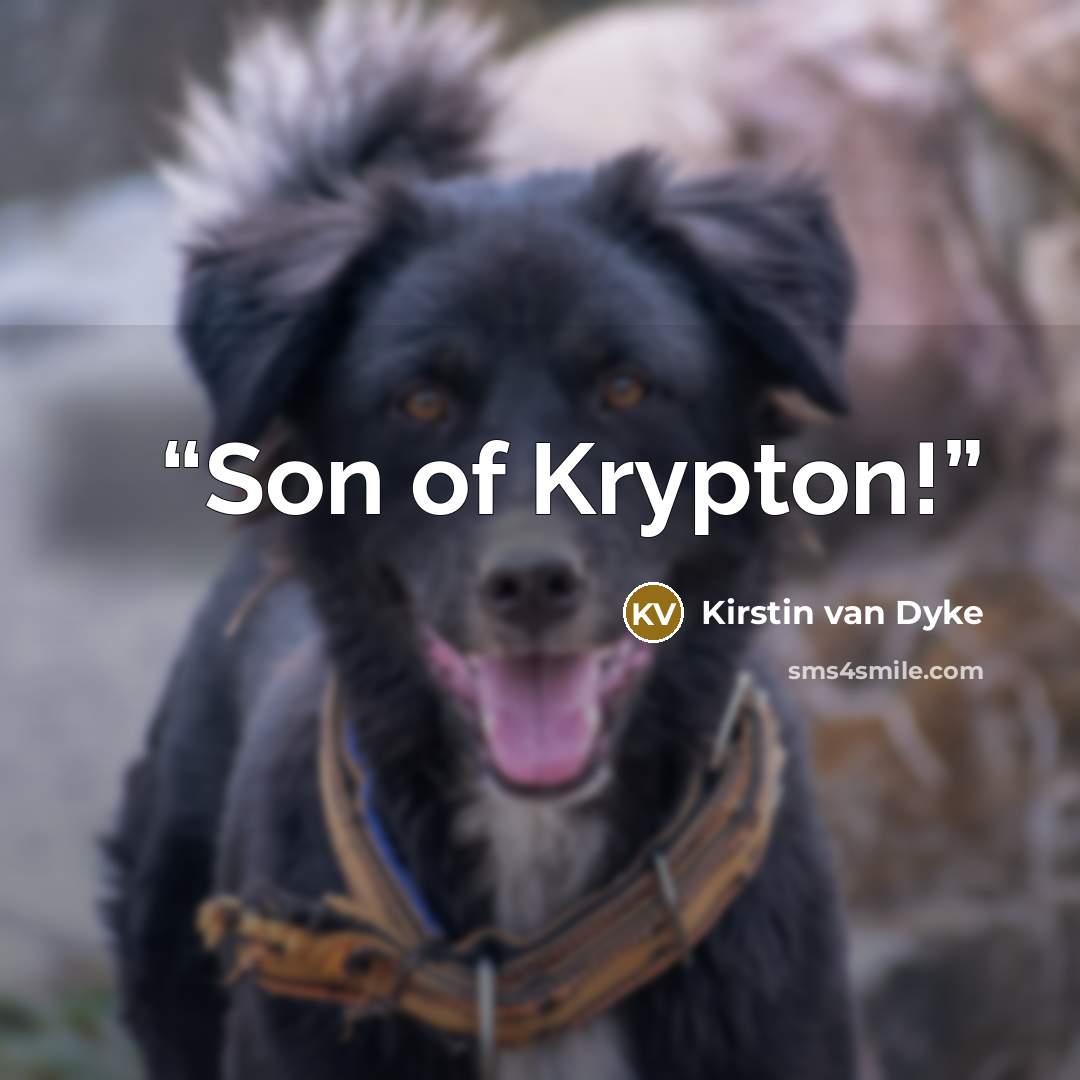“Son of Krypton!” quote by Kirstin van Dyke