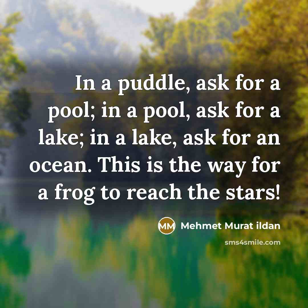 “In a puddle, ask for a pool; in a pool, ask for a lake; in a lake, ask for an ocean. This is the way for a frog to reach the stars!” quote by Mehmet Murat Ildan