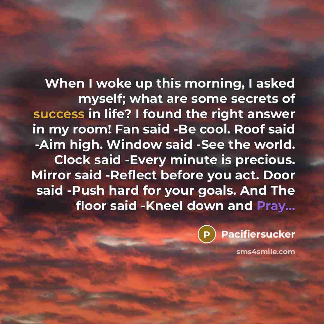 “When I woke up this morning, I asked myself; what are some secrets of success in life? I found the right answer in my room! Fan said -Be cool. Roof said -Aim high. Window said -See the world. Clock said -Every minute is precious. Mirror said -Reflect before you act. Door said -Push hard for your…” quote by Pacifiersucker