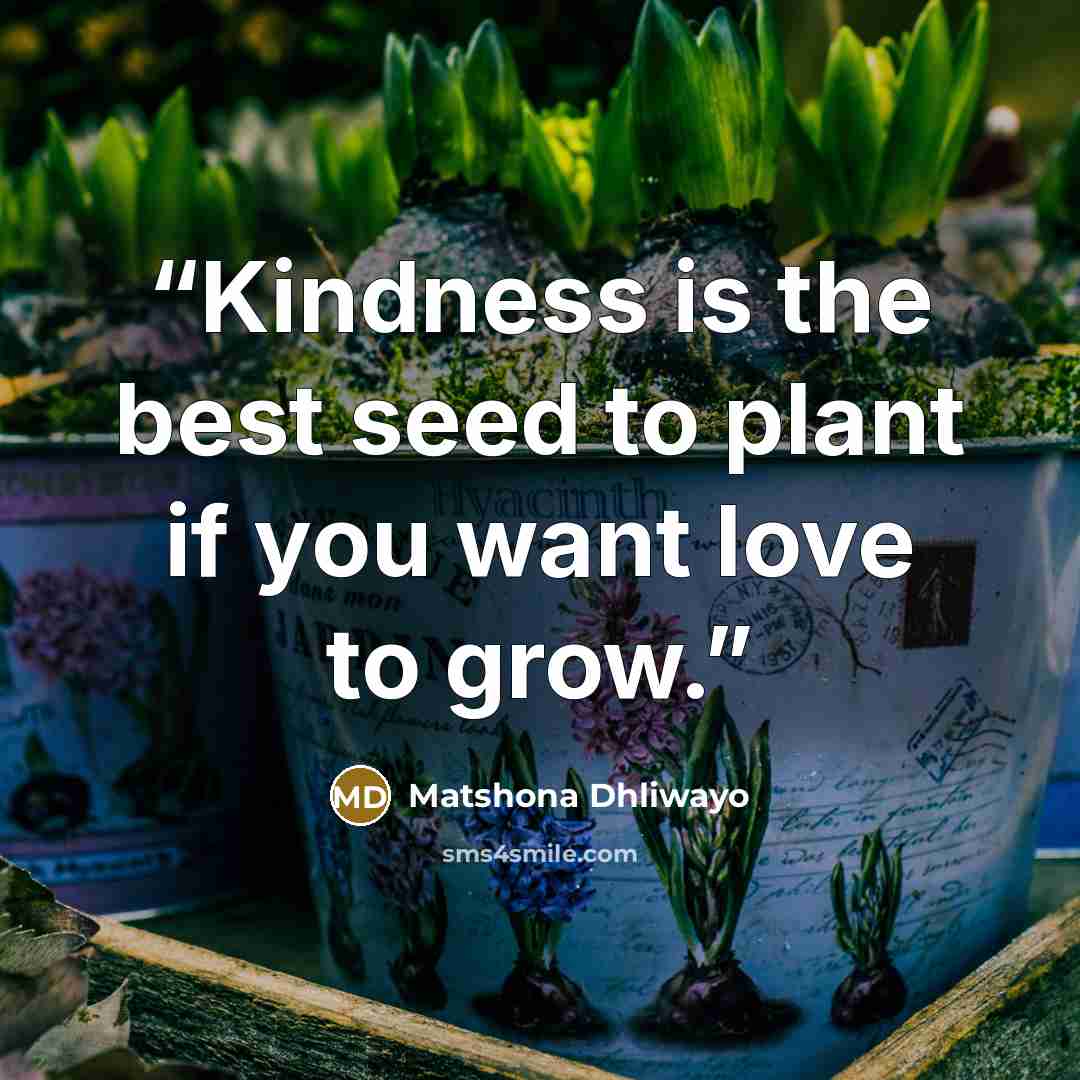“Kindness is the best seed to plant if you want love to grow.” quote by Matshona Dhliwayo