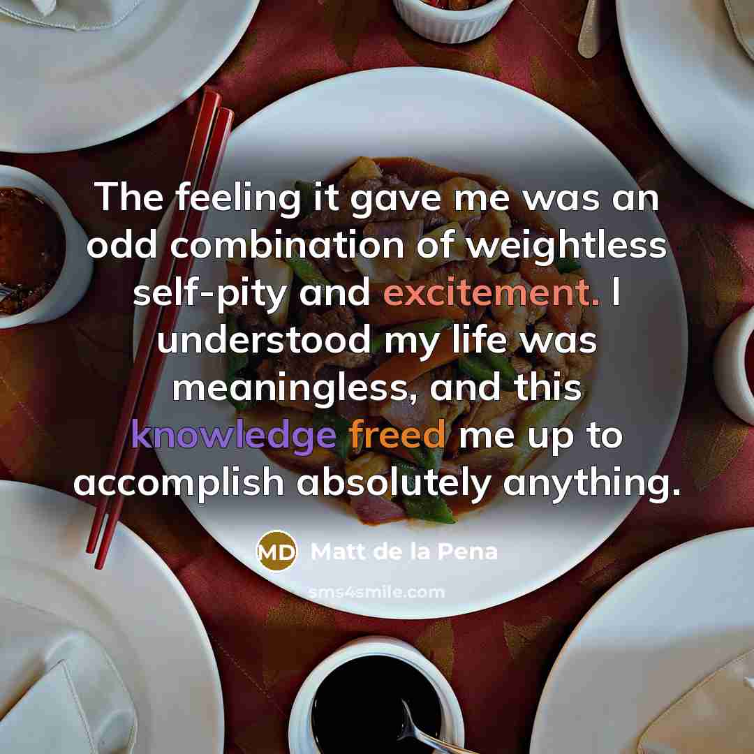 “The feeling it gave me was an odd combination of weightless self-pity and excitement. I understood my life was meaningless, and this knowledge freed me up to accomplish absolutely anything.” quote by Matt de la Pena