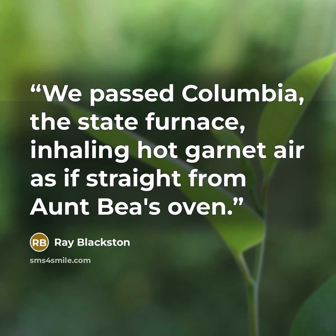 “We passed Columbia, the state furnace, inhaling hot garnet air as if straight from Aunt Bea's oven.” quote by Ray Blackston