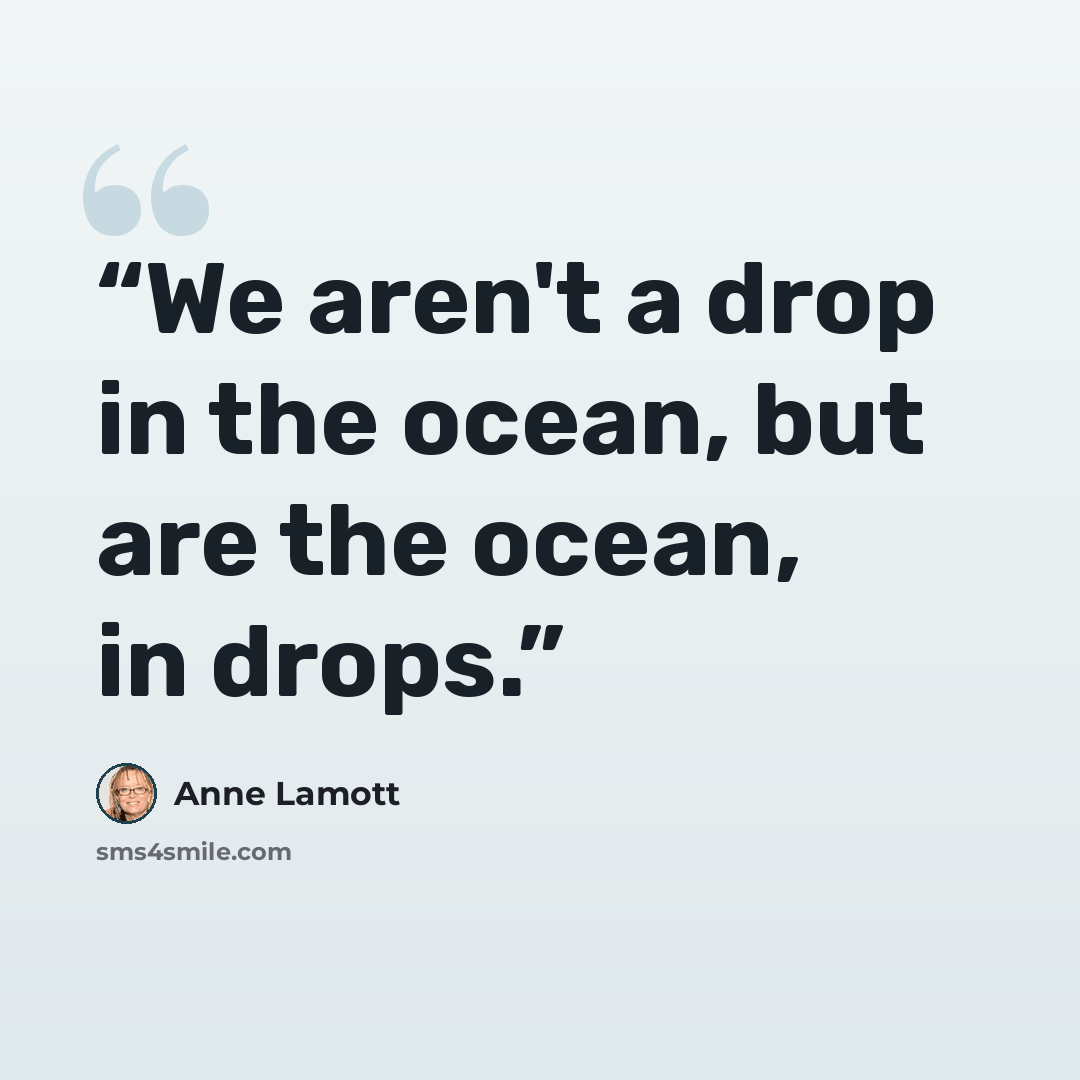 “We aren't a drop in the ocean, but are the ocean, in drops.” quote by Anne Lamott