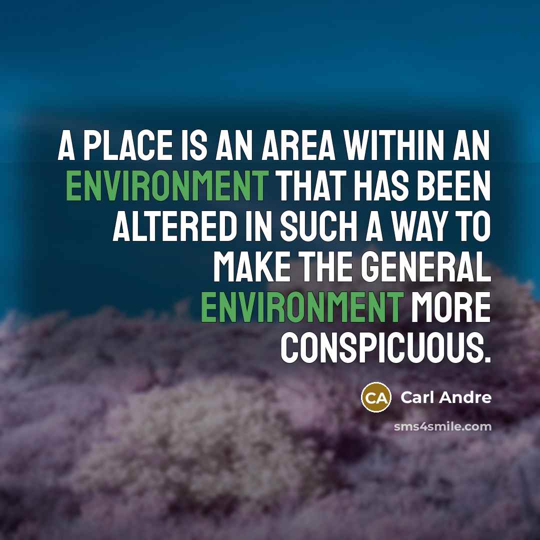 “A place is an area within an environment that has been altered in such a way to make the general environment more conspicuous.” quote by Carl Andre