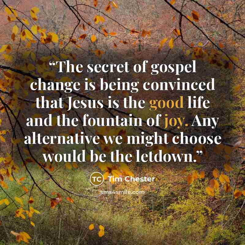 “The secret of gospel change is being convinced that Jesus is the good life and the fountain of joy. Any alternative we might choose would be the letdown.” quote by Tim Chester