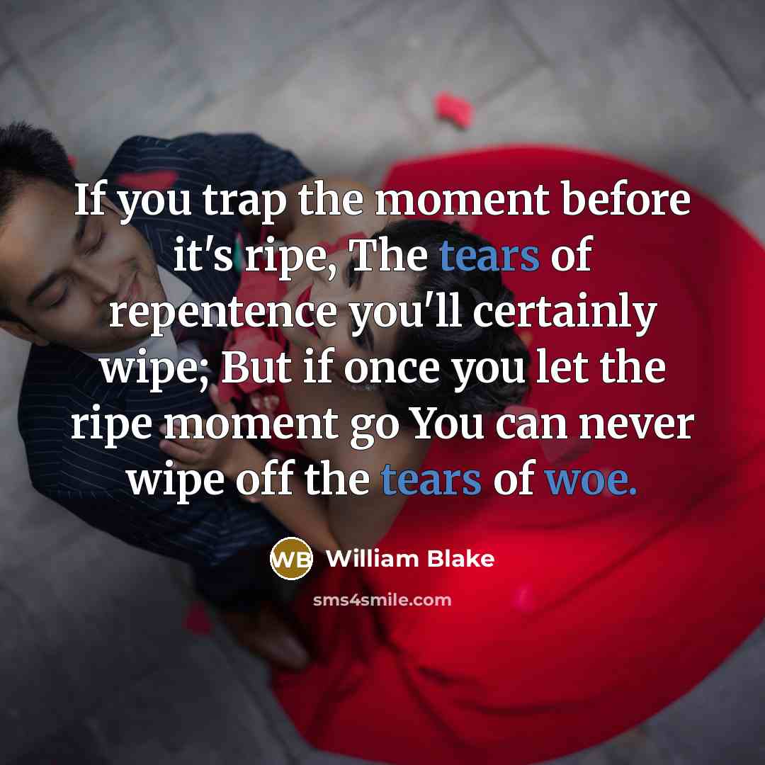 “If you trap the moment before it's ripe, The tears of repentence you'll certainly wipe; But if once you let the ripe moment go You can never wipe off the tears of woe.” quote by William Blake