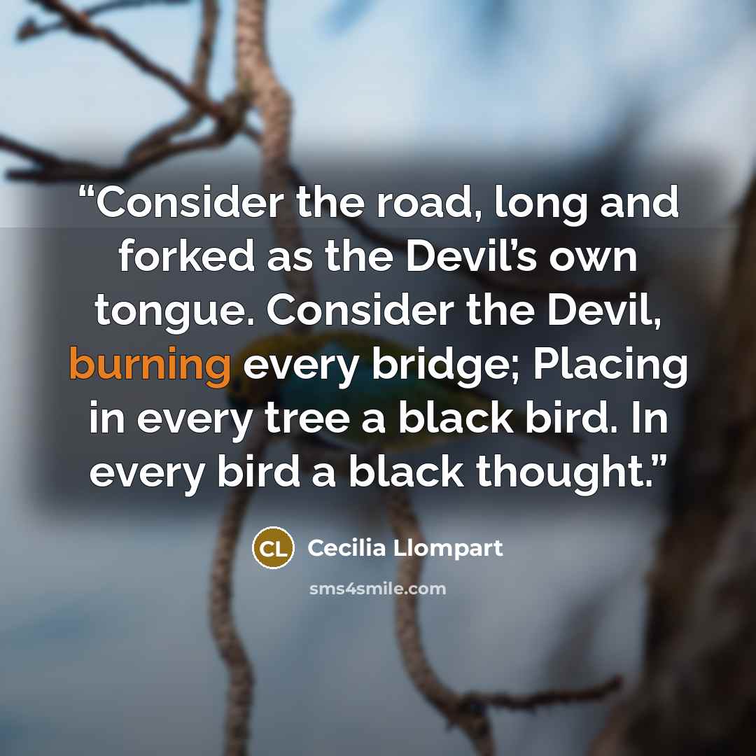 “Consider the road, long and forked as the Devil’s own tongue. Consider the Devil, burning every bridge; Placing in every tree a black bird. In every bird a black thought.” quote by Cecilia Llompart