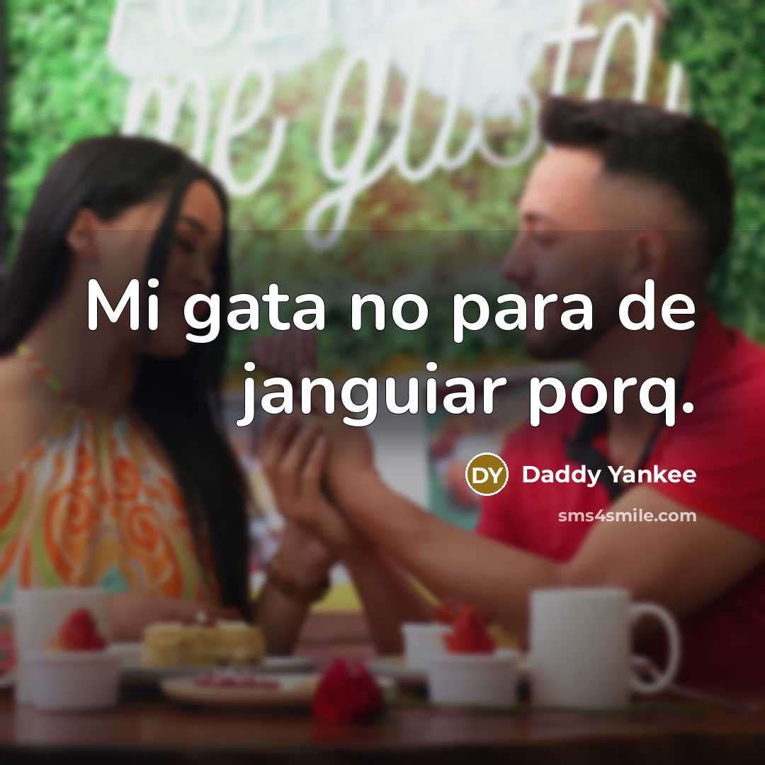 “Mi gata no para de janguiar porq.” quote by Daddy Yankee