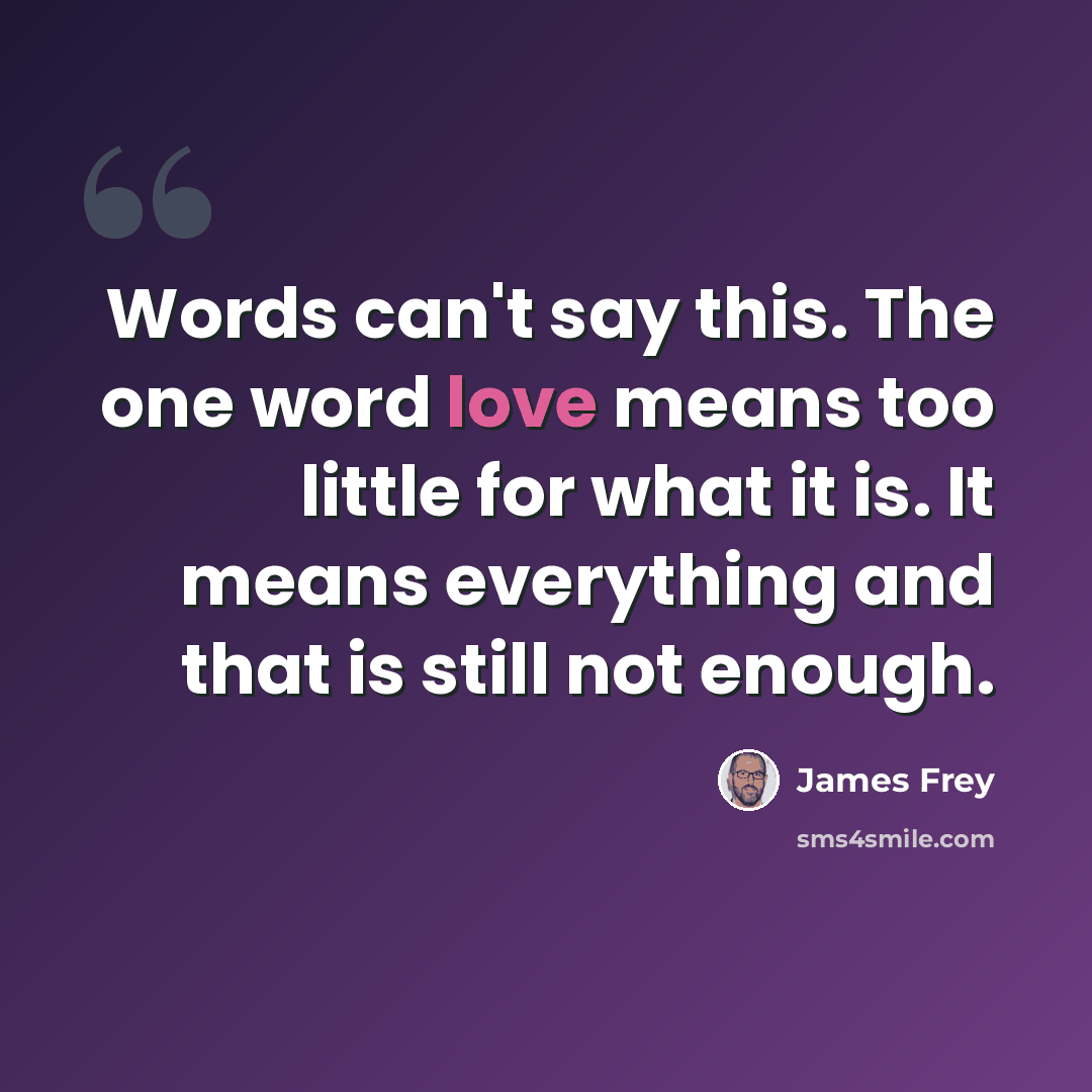 “Words can't say this. The one word love means too little for what it is. It means everything and that is still not enough.” quote by James Frey