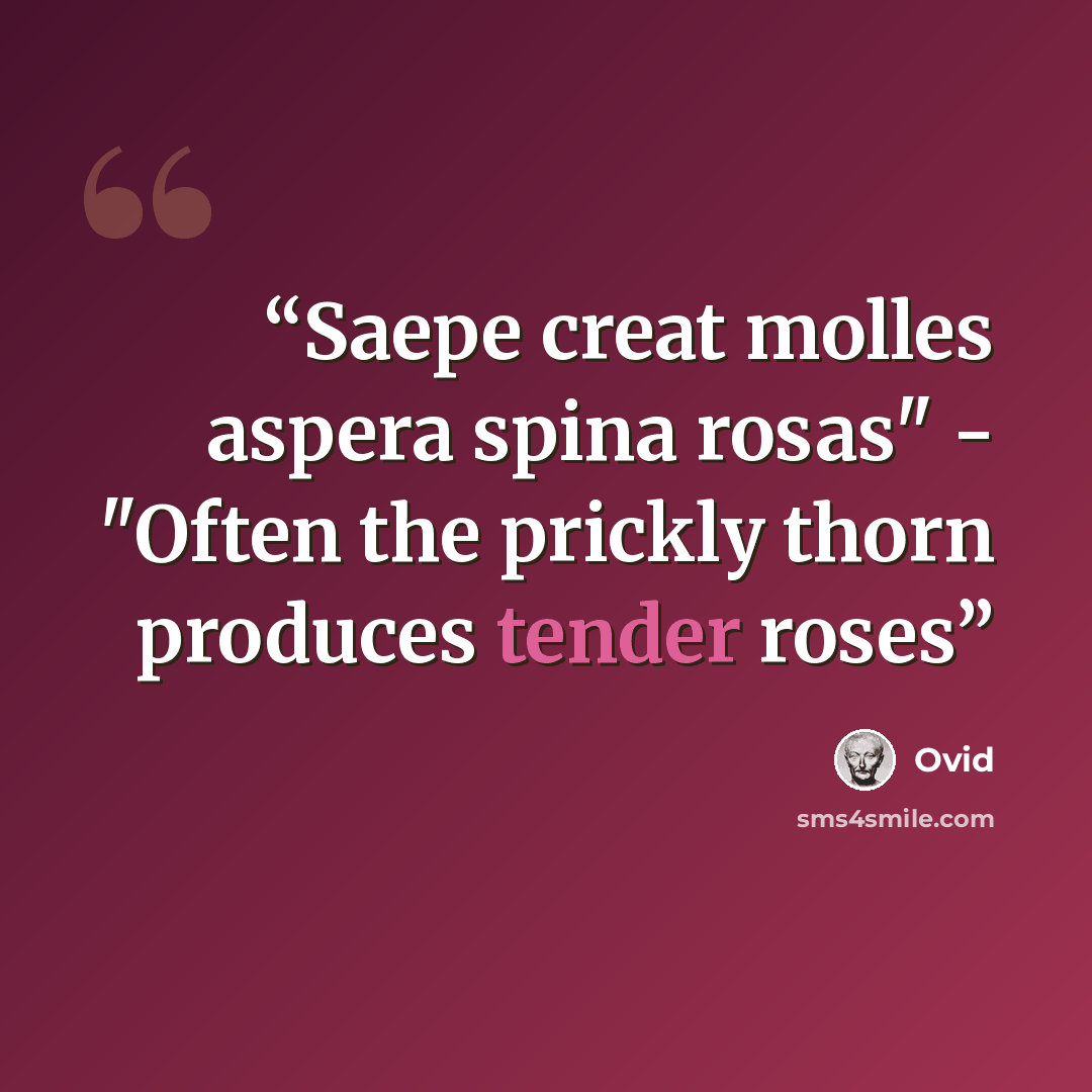 “Saepe creat molles aspera spina rosas" - "Often the prickly thorn produces tender roses” quote by Ovid