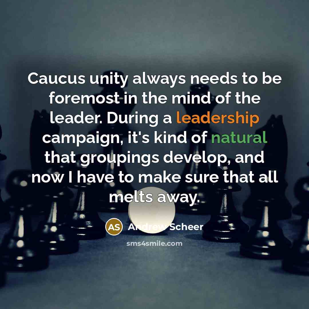 “Caucus unity always needs to be foremost in the mind of the leader. During a leadership campaign, it's kind of natural that groupings develop, and now I have to make sure that all melts away.” quote by Andrew Scheer