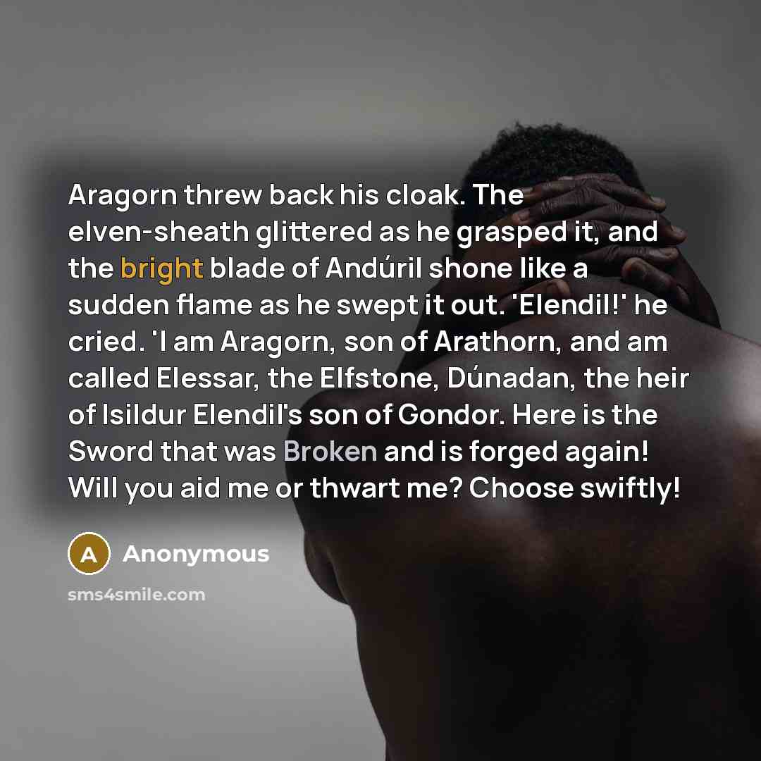 “Aragorn threw back his cloak. The elven-sheath glittered as he grasped it, and the bright blade of Andúril shone like a sudden flame as he swept it out. 'Elendil!' he cried. 'I am Aragorn, son of Arathorn, and am called Elessar, the Elfstone, Dúnadan, the heir of Isildur Elendil's son of Gondor…” quote by Anonymous