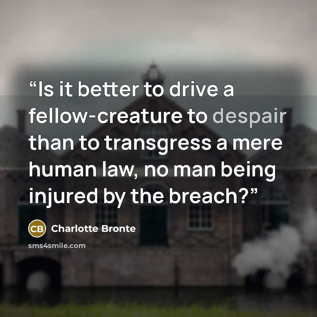 “Is it better to drive a fellow-creature to despair than to transgress a mere human law, no man being injured by the breach?” quote by Charlotte Brontë
