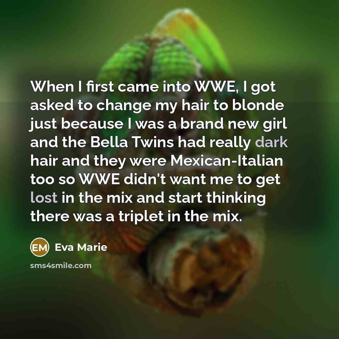 “When I first came into WWE, I got asked to change my hair to blonde just because I was a brand new girl and the Bella Twins had really dark hair and they were Mexican-Italian too so WWE didn't want me to get lost in the mix and start thinking there was a triplet in the mix.” quote by Eva Marie