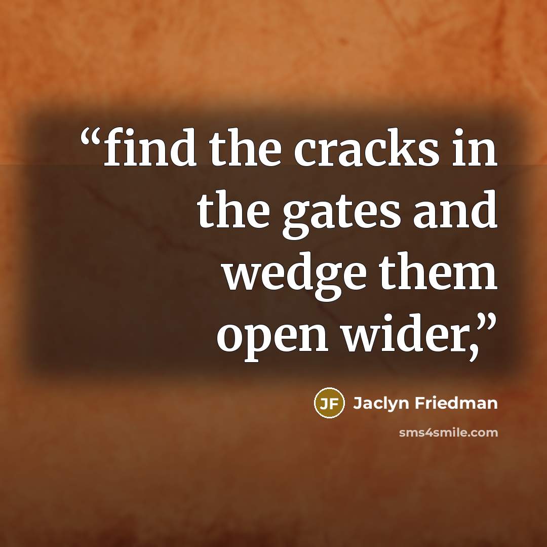 “find the cracks in the gates and wedge them open wider,” quote by Jaclyn Friedman