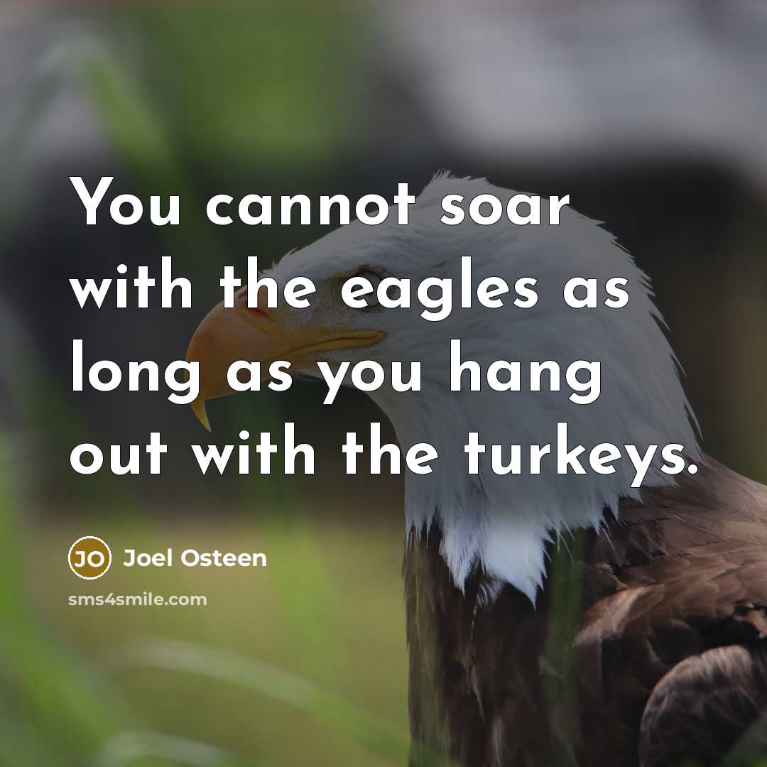 “You cannot soar with the eagles as long as you hang out with the turkeys.” quote by Joel Osteen