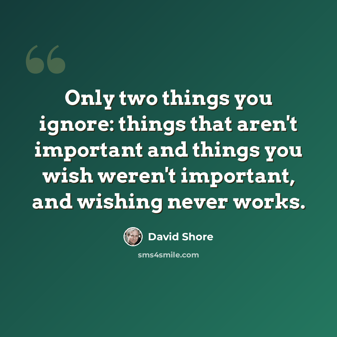 “Only two things you ignore: things that aren't important and things you wish weren't important, and wishing never works.” quote by David Shore