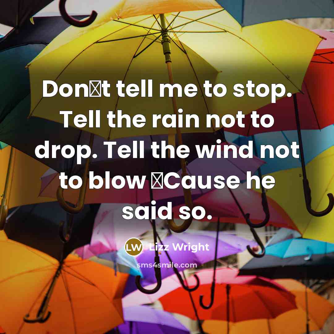 “Don�t tell me to stop. Tell the rain not to drop. Tell the wind not to blow �Cause he said so.” quote by Lizz Wright