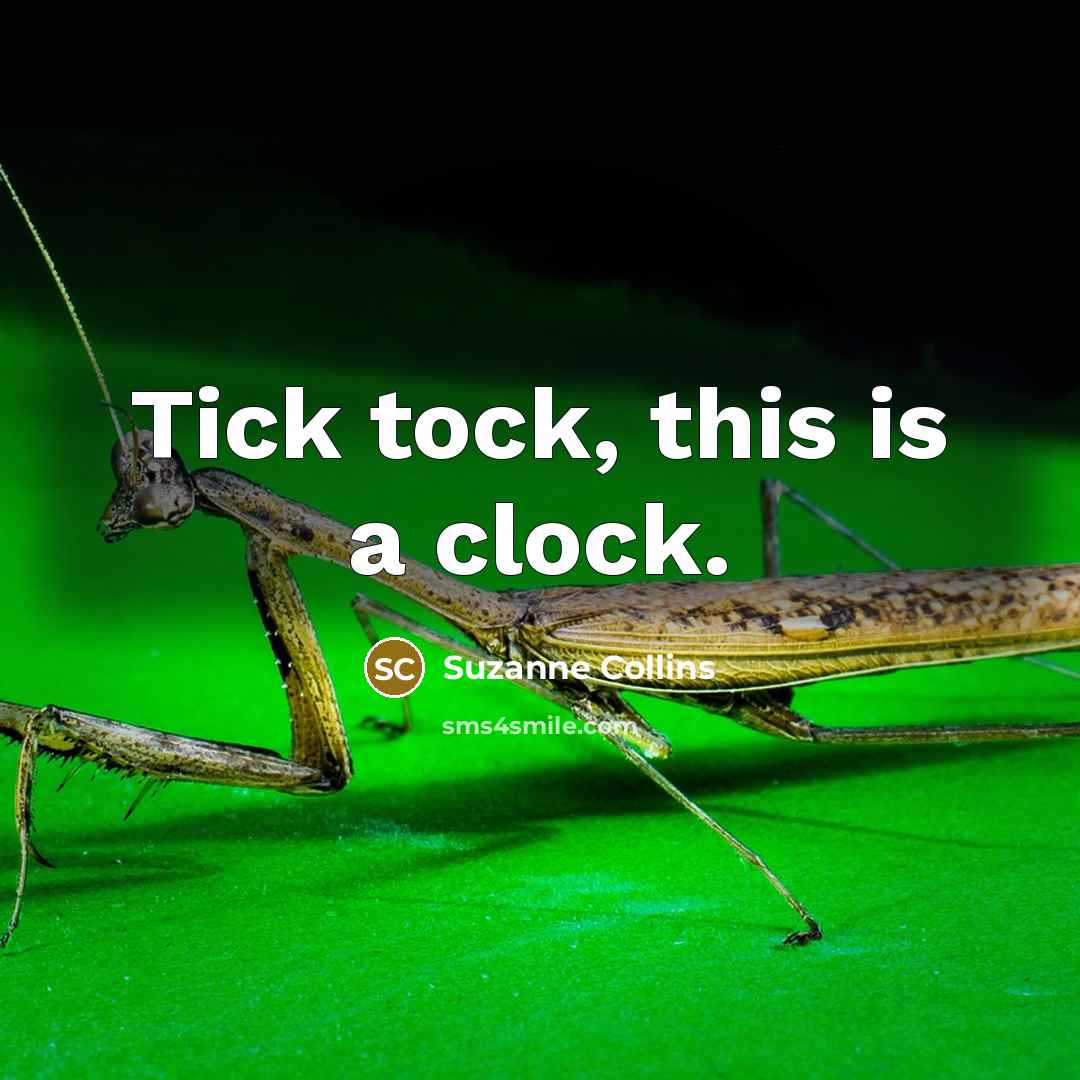 “Tick tock, this is a clock.” quote by Suzanne Collins