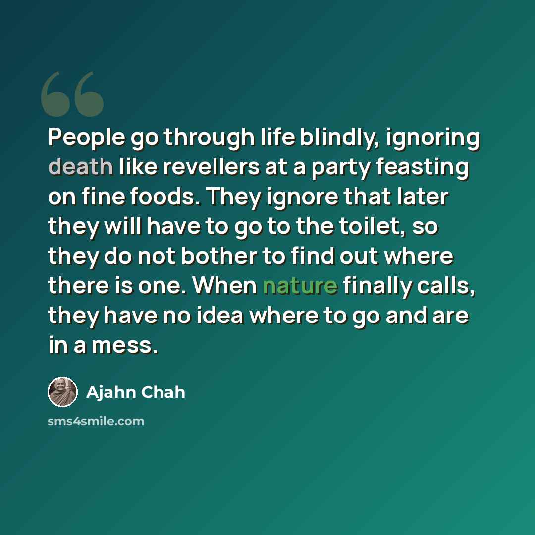 “People go through life blindly, ignoring death like revellers at a party feasting on fine foods. They ignore that later they will have to go to the toilet, so they do not bother to find out where there is one. When nature finally calls, they have no idea where to go and are in a mess.” quote by Ajahn Chah