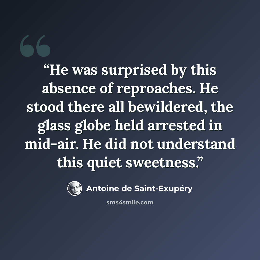 “He was surprised by this absence of reproaches. He stood there all bewildered, the glass globe held arrested in mid-air. He did not understand this quiet sweetness.” quote by Antoine de Saint-Exupéry